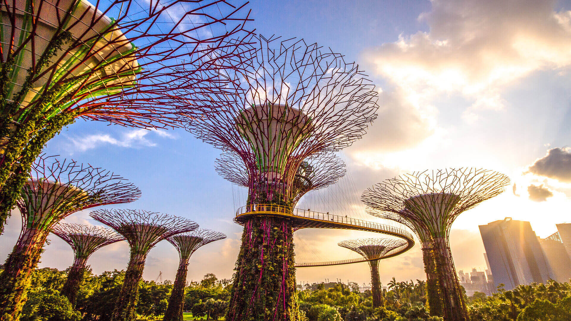 Tour Du lịch Singapore trọn gói 2